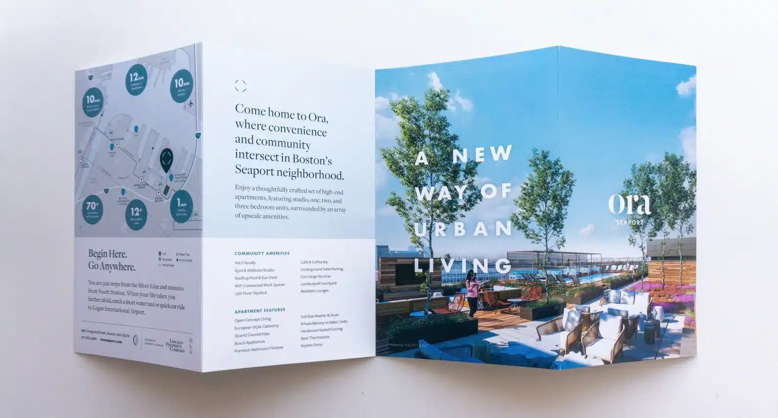 Fold-out brochure featuring apartment amenities, a rooftop lounge, and community details