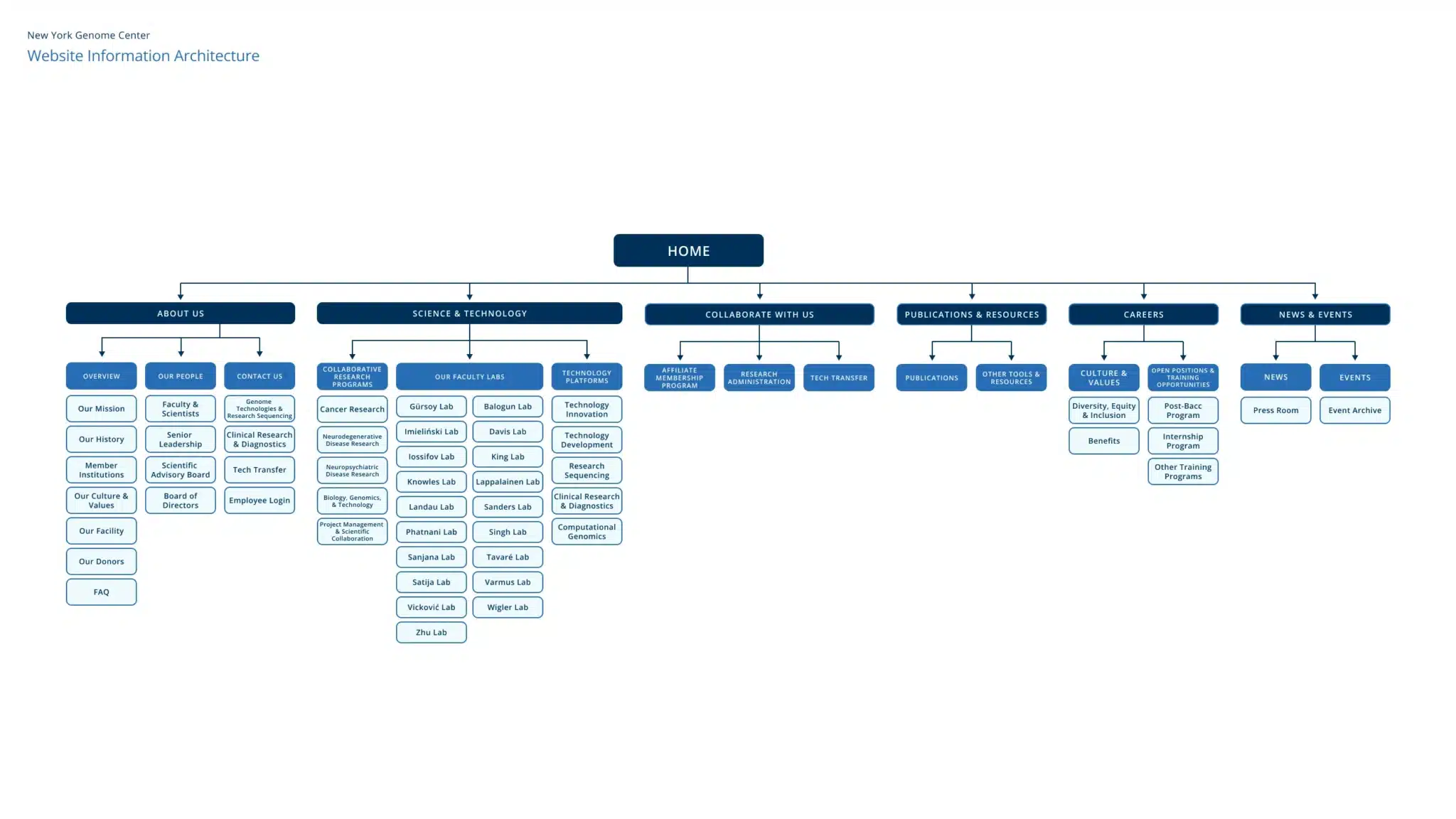 Website information architecture chart mapping NYGC site structure across key sections and categories